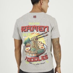 Camiseta chico gris brave soul